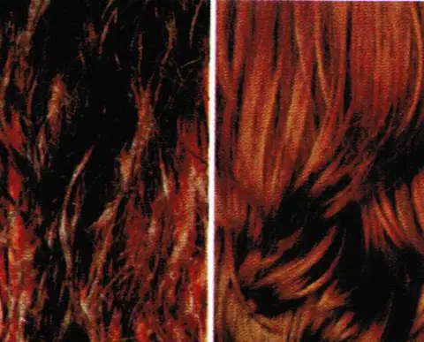 Brazil / catalogue artwork