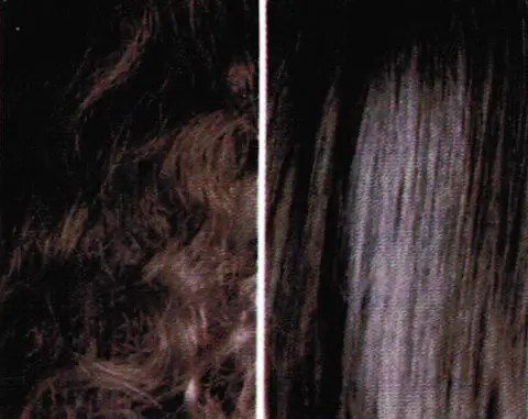 Brazil / catalogue artwork