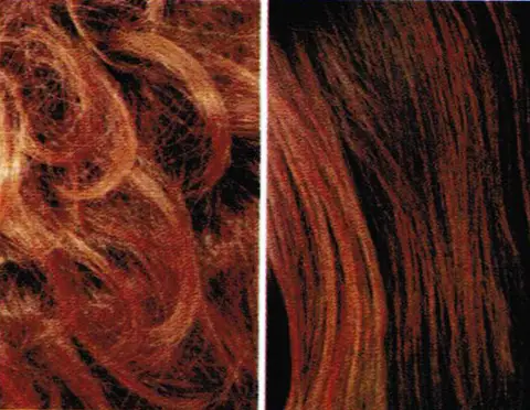 Brazil / catalogue artwork
