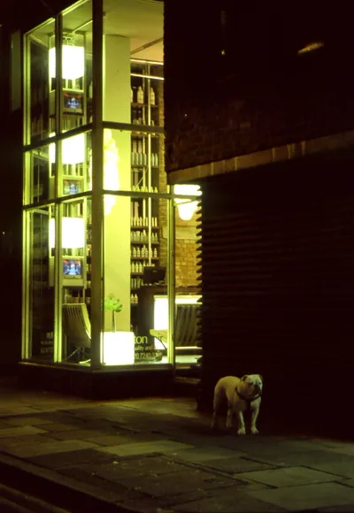 The corner of Shelton Street at night, Kiki outside